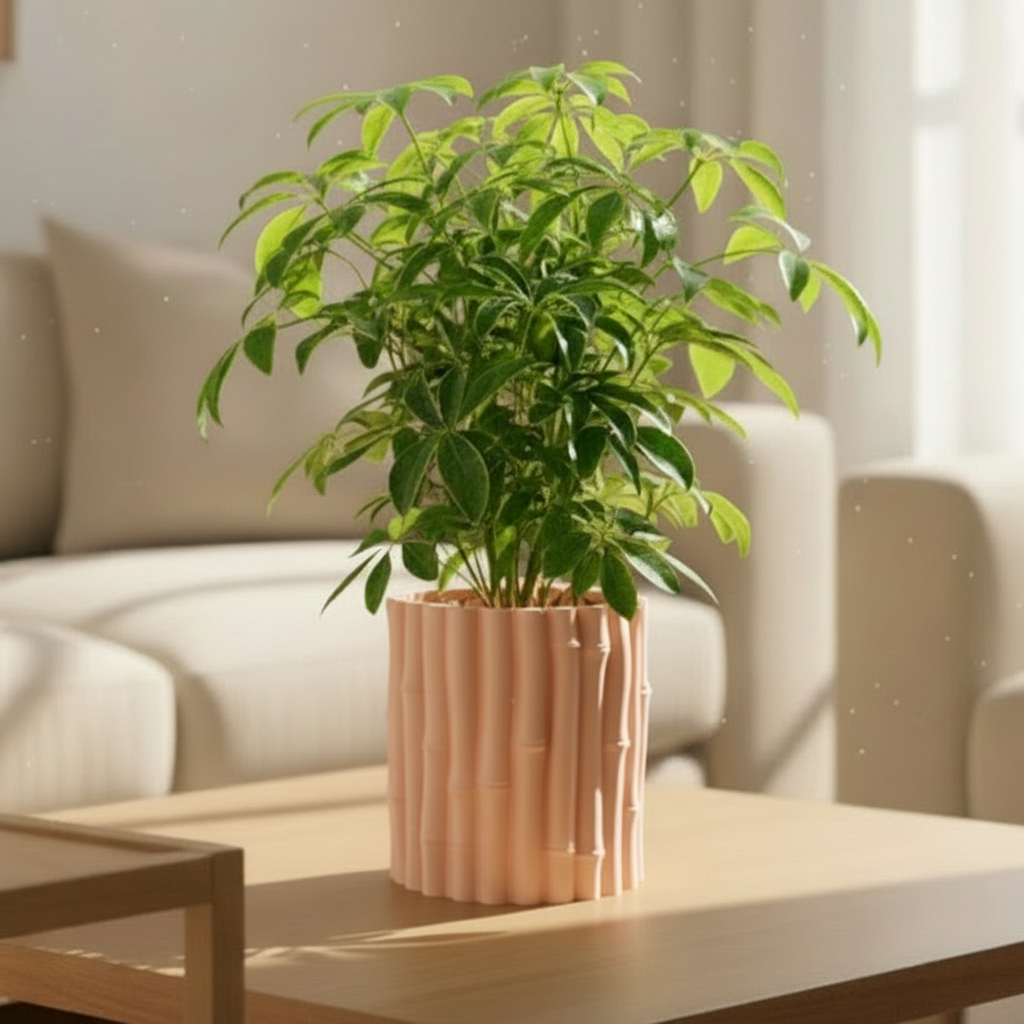 Bamboo Planter with Hidden Drip Tray