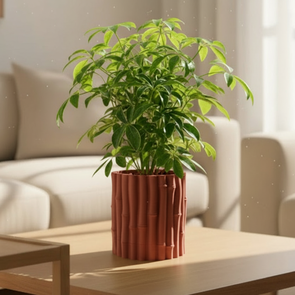 Bamboo Planter with Hidden Drip Tray