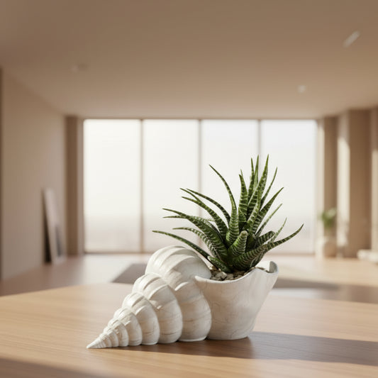 Shell Planter (Only pot)