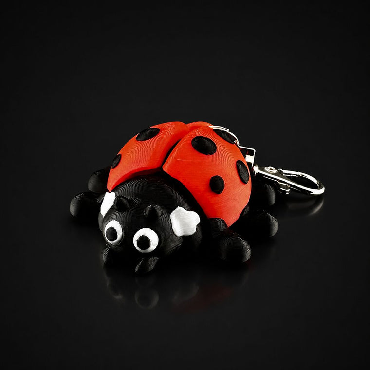 Ladybug keychain keychain