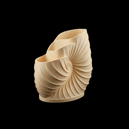 Nautilus Pen Holder