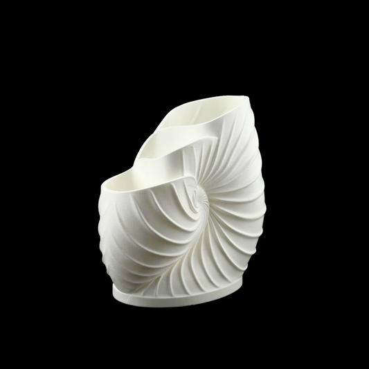 Nautilus Pen Holder