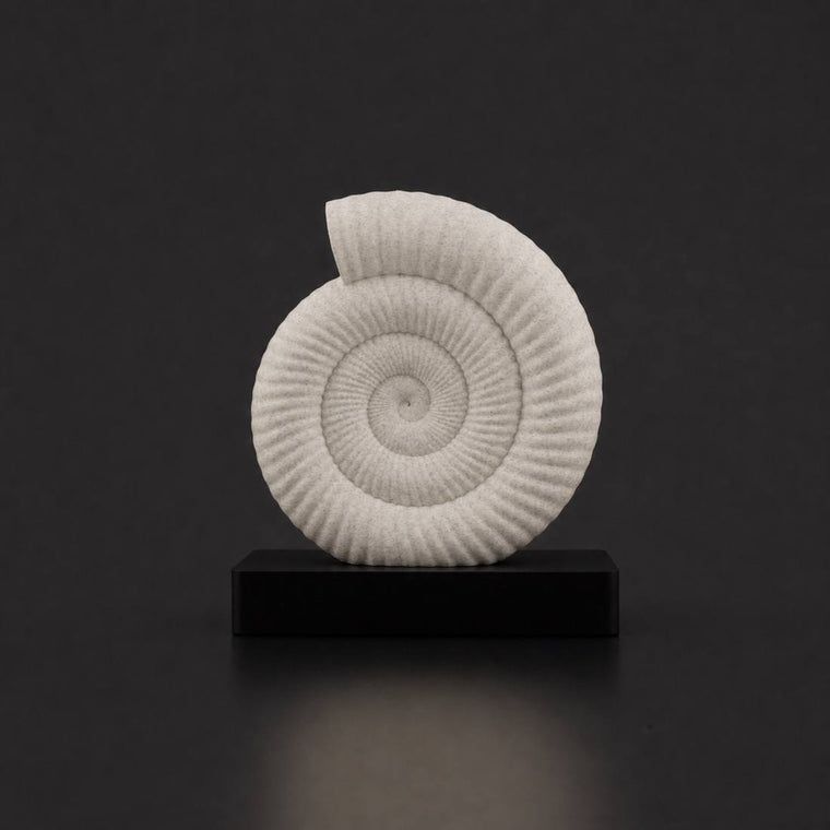 Fossil Bone White Black