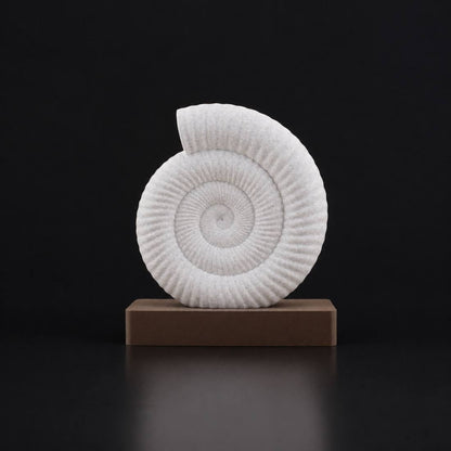 Fossil Cocoa Brown Shadow Storm