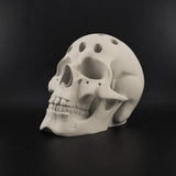Bone White