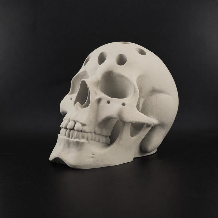 Human Skull Pen Holder in Bone White