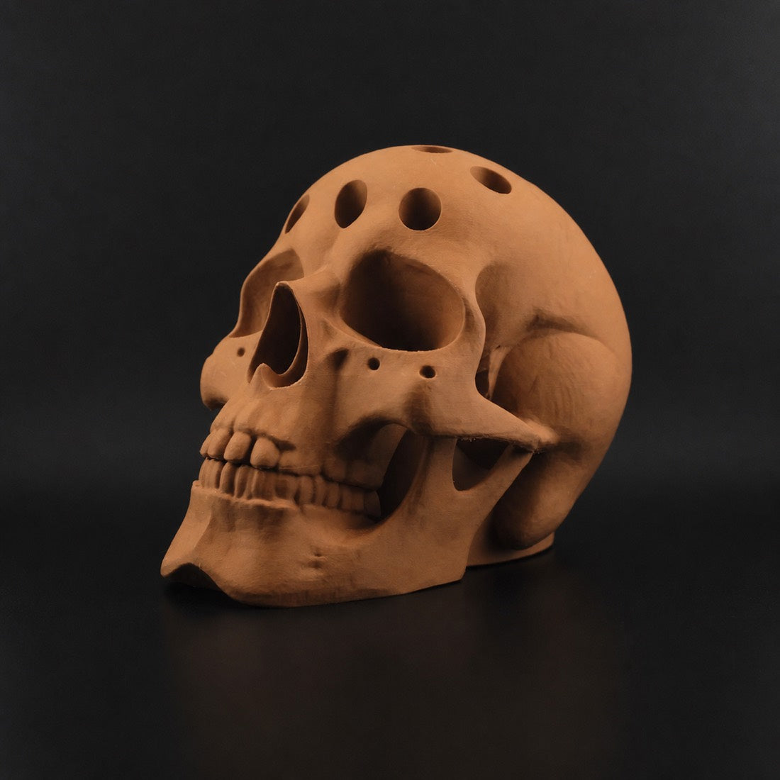 Human Skull Pen Holder in Caramel