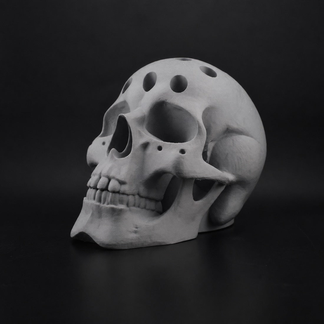 Human Skull Pen Holder in Gray