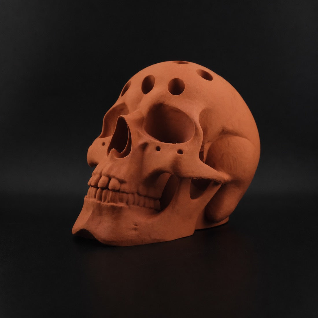 Human Skull Pen Holder in Terracotta