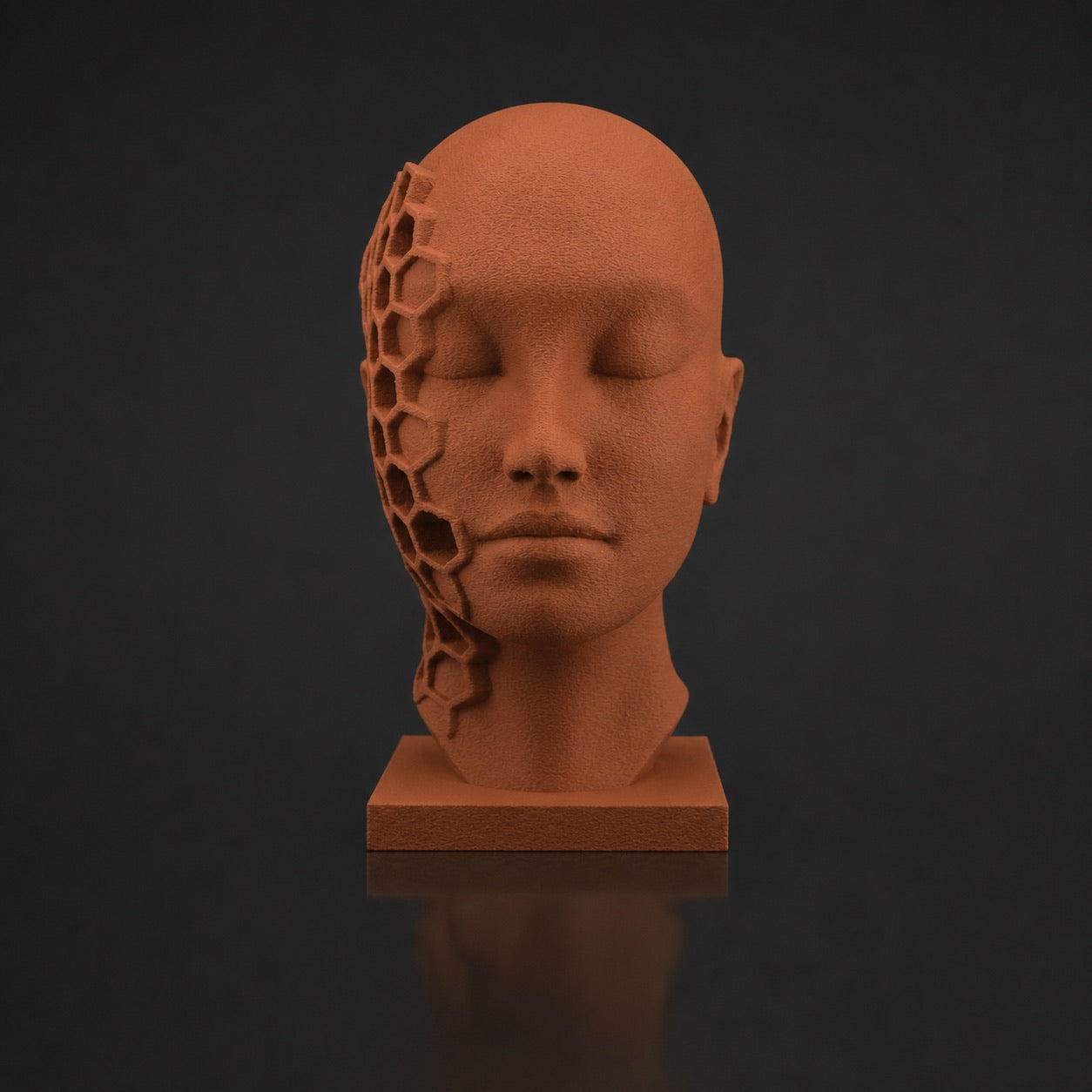 Lucid Terracotta