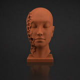 Terracotta