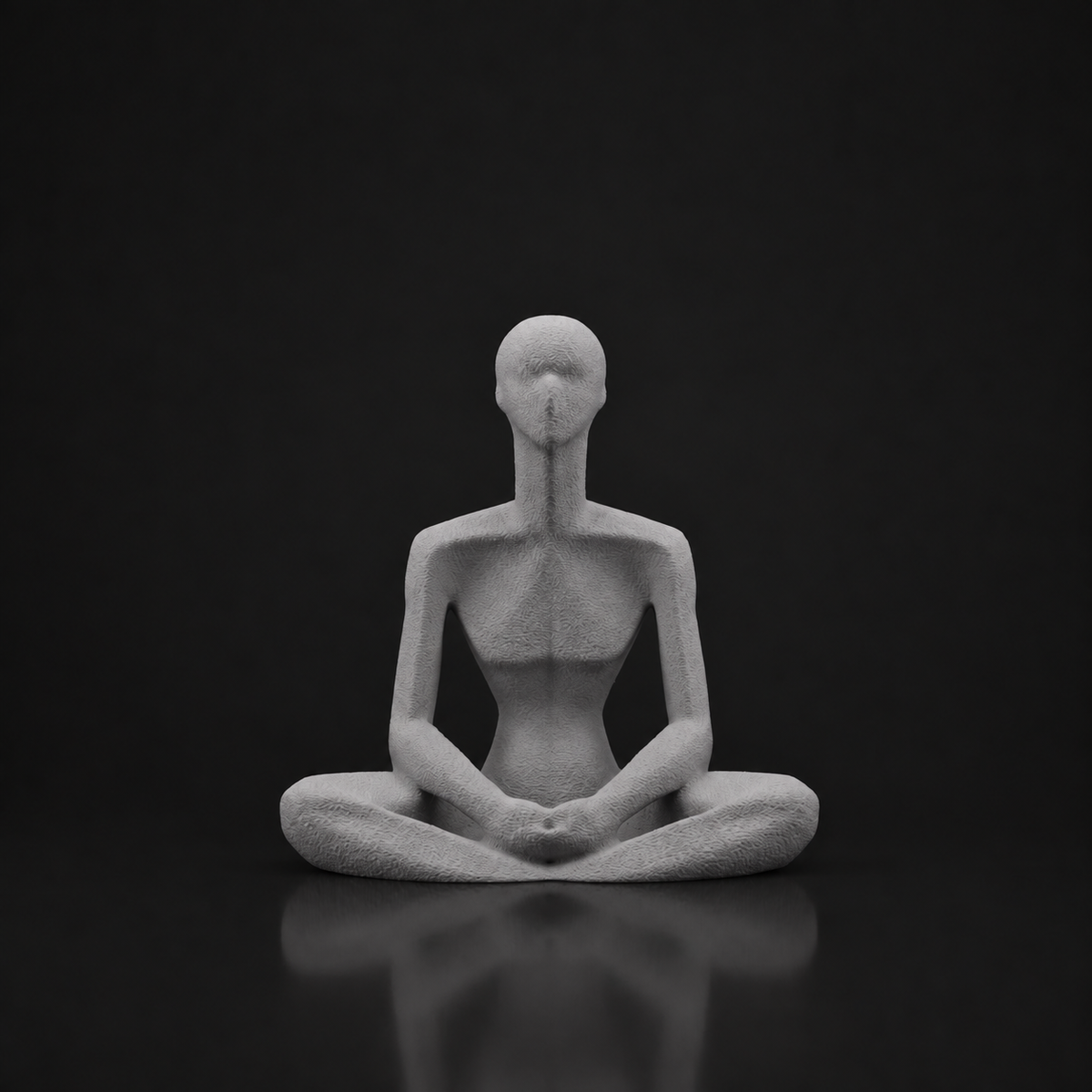 Meditative Muse - Gray