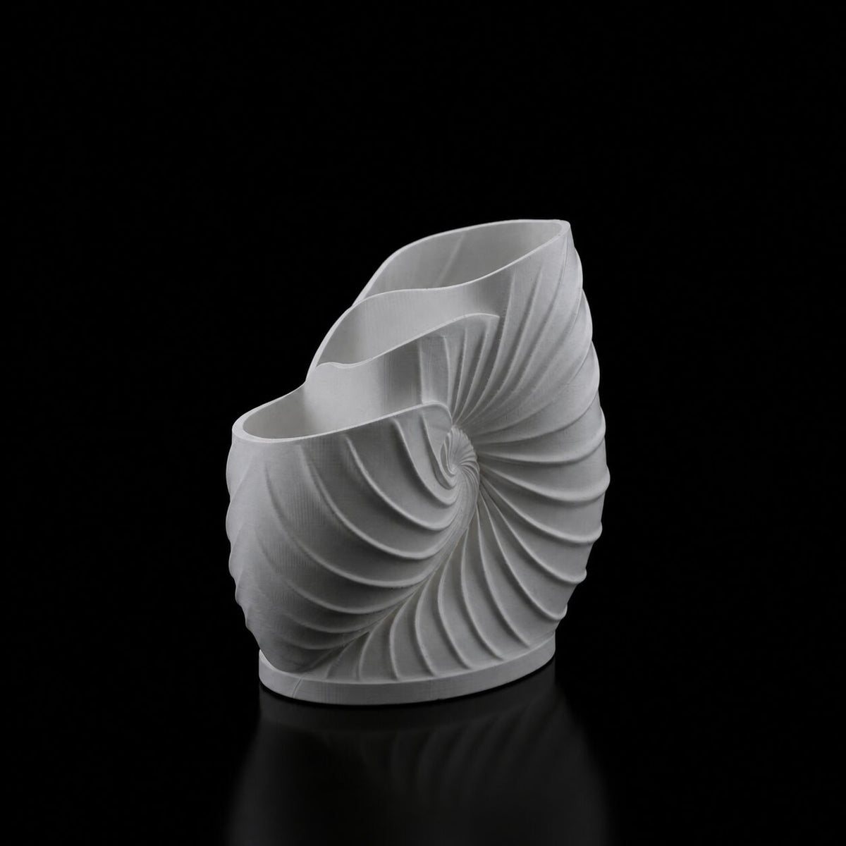 Nautilus Pen Holder in Gray