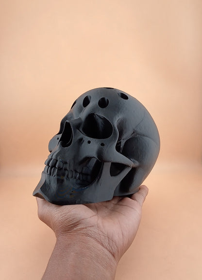Human Skull Pen Holder