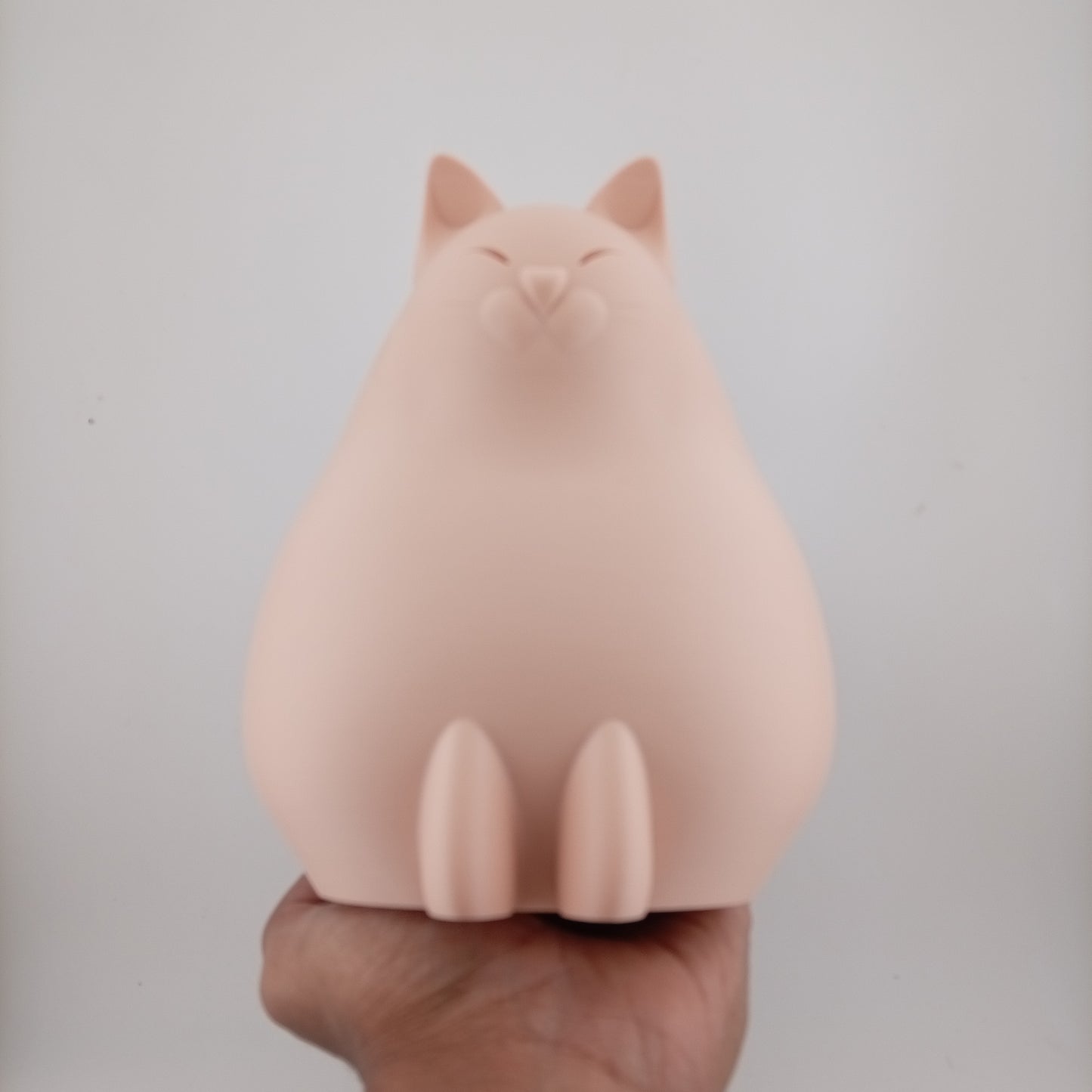 Cat Pen Holder (1 unit)