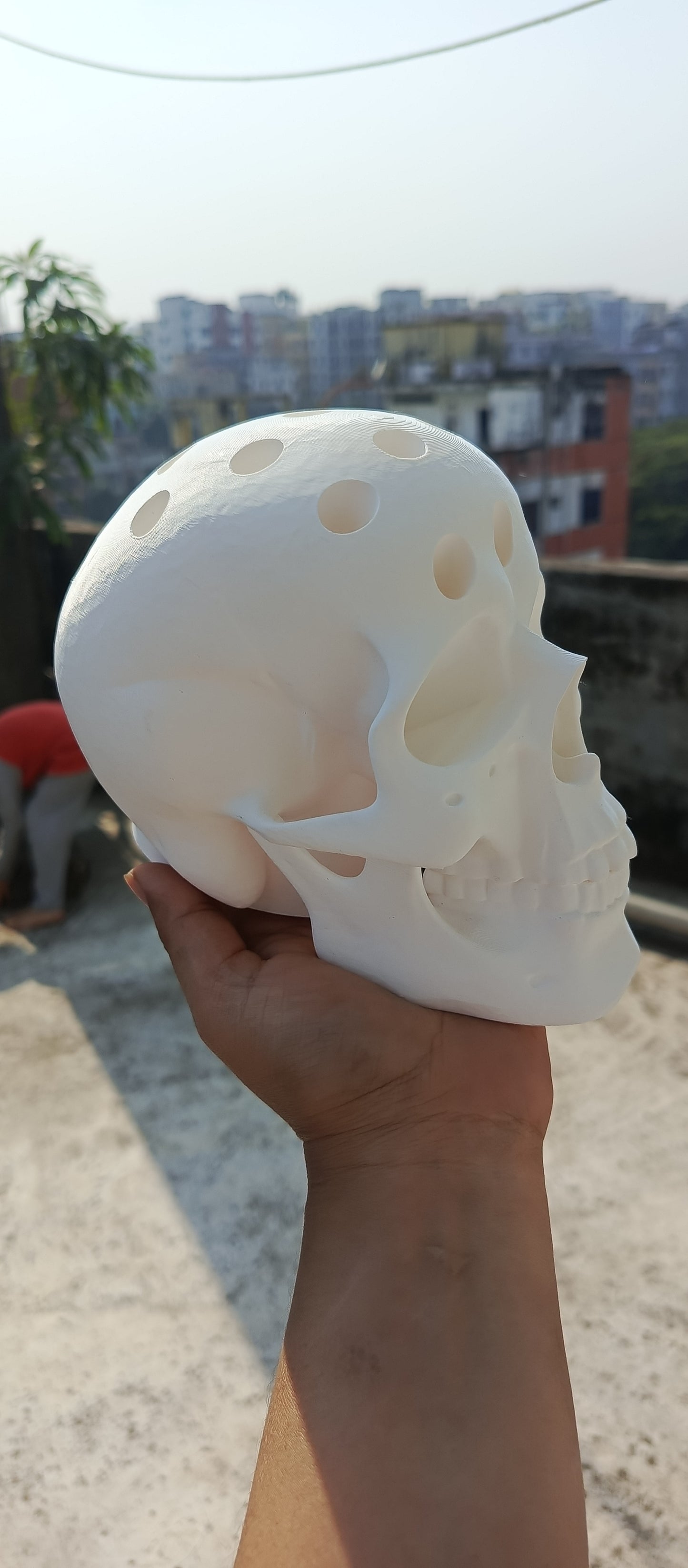 Human Skull Pen Holder