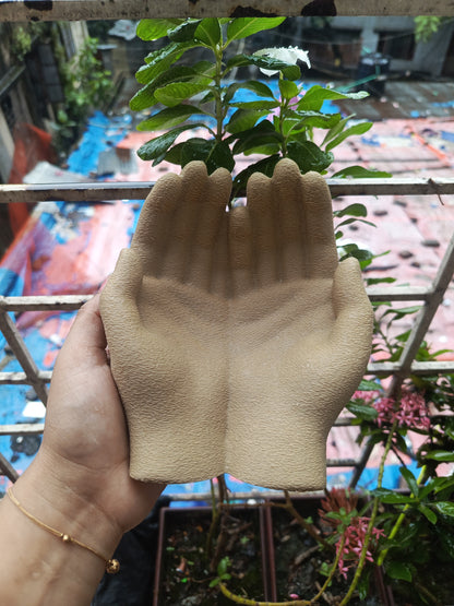 Hand-Shaped Dish