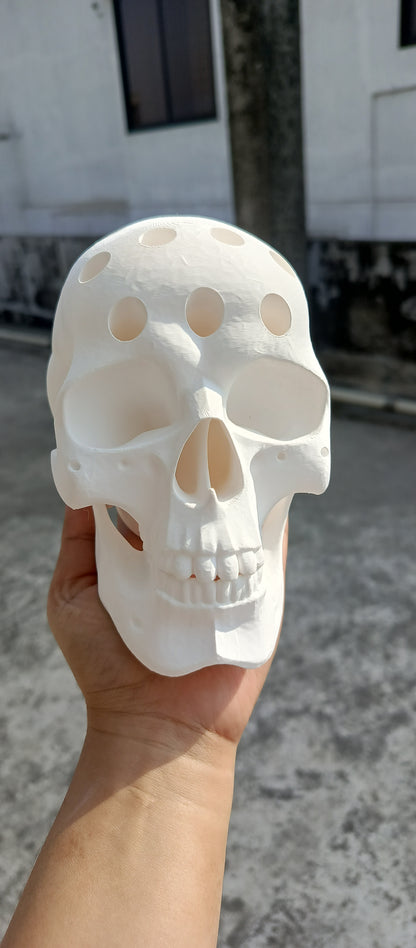 Human Skull Pen Holder