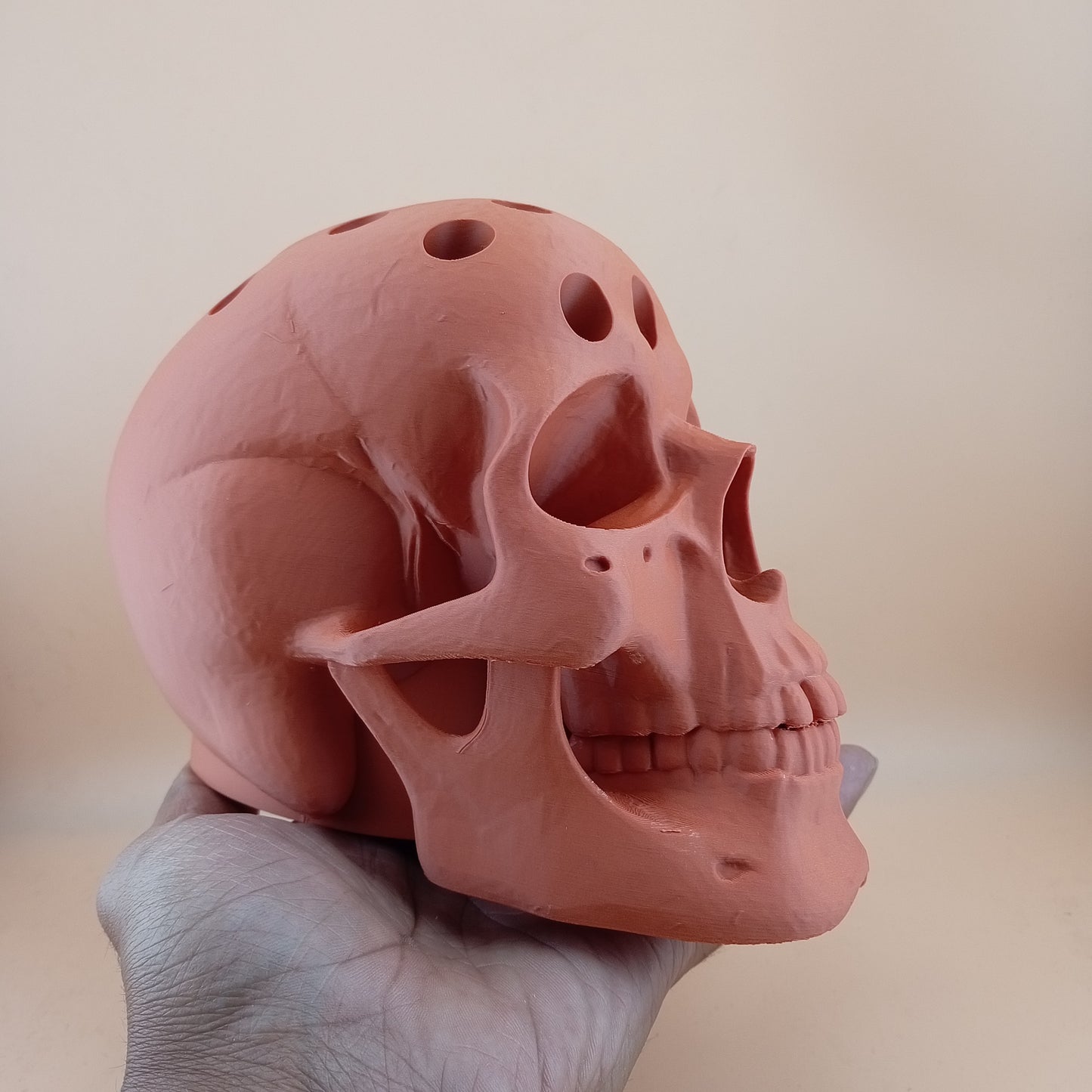 Human Skull Pen Holder