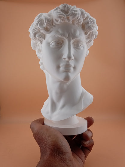 David Planter (Only pot)