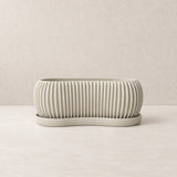 Bone White