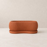 Terracotta