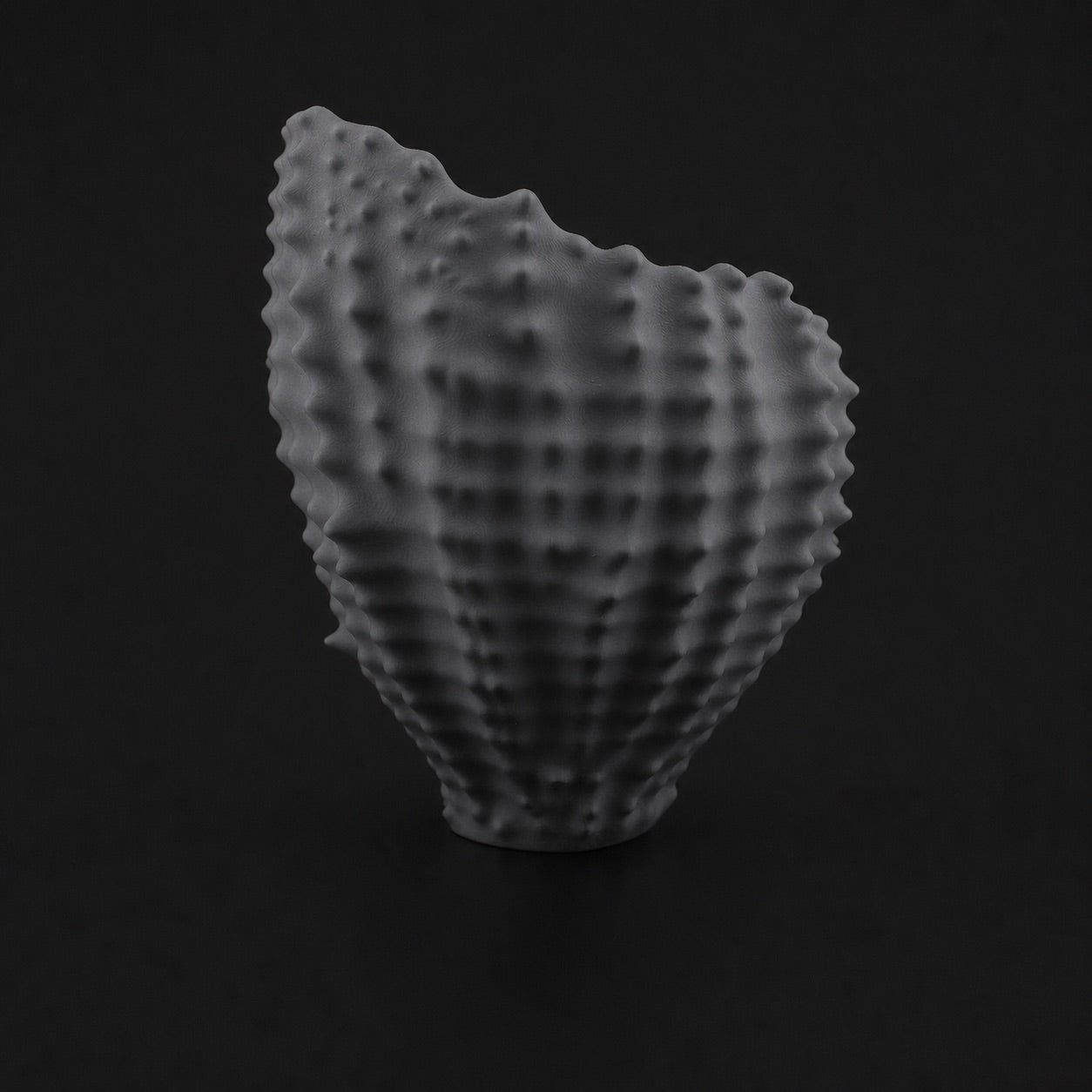 Sea Shell Planter ashen-concrete