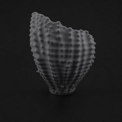 Sea Shell Planter ashen-concrete