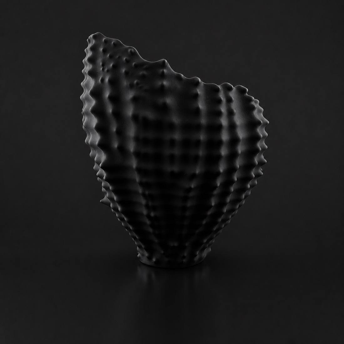 Sea Shell Planter black