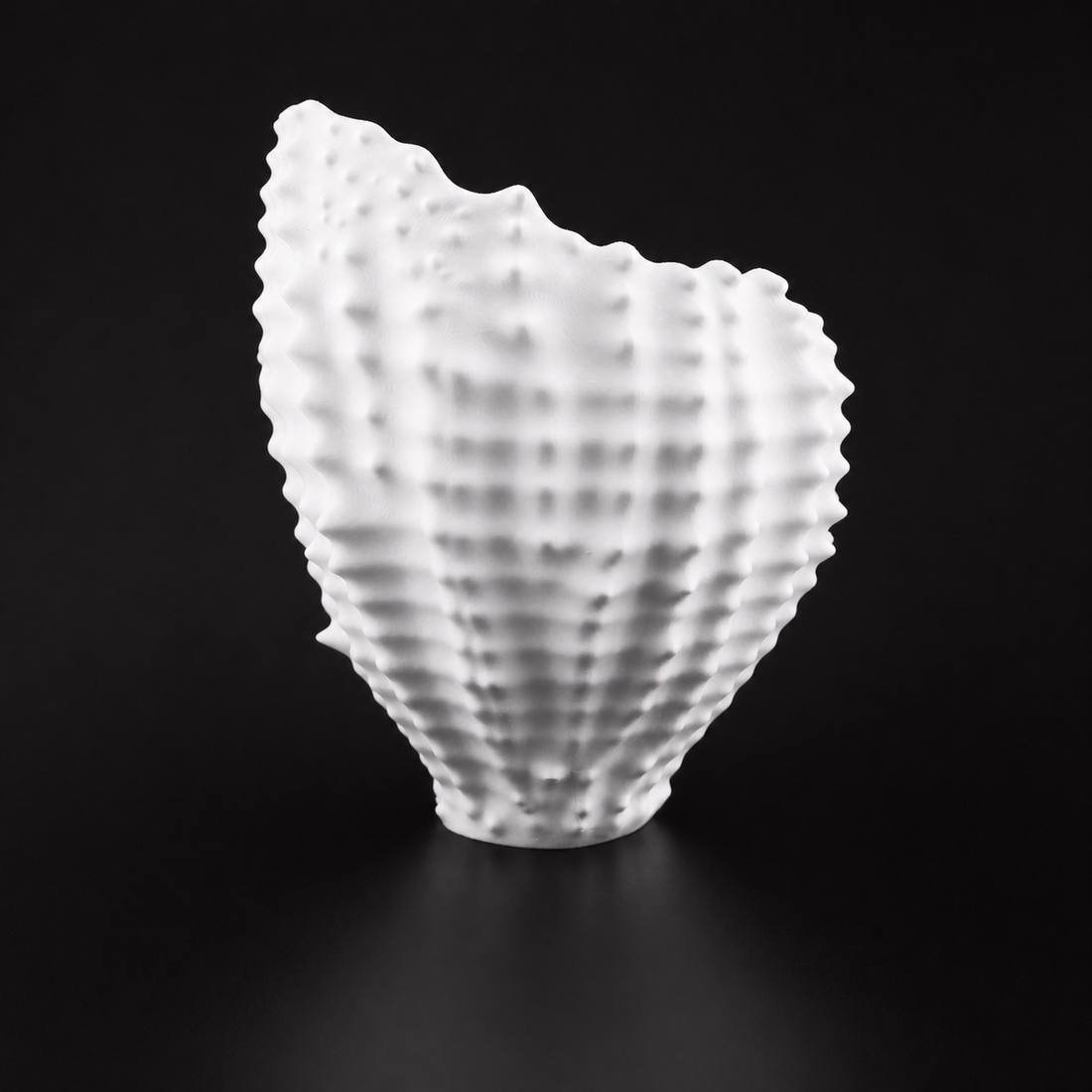 Sea Shell Planter white