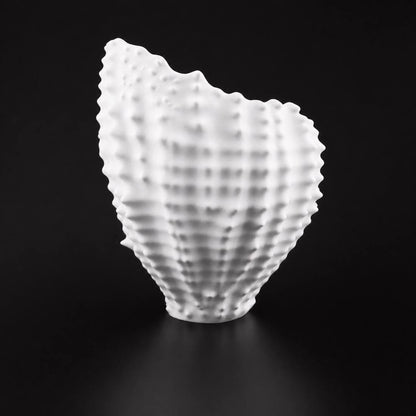Sea Shell Planter white