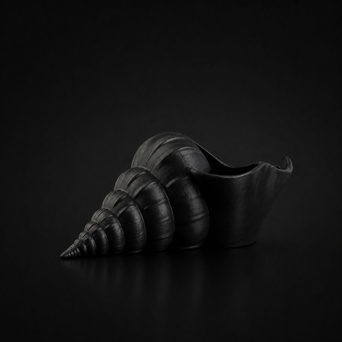 Shell Planter Black
